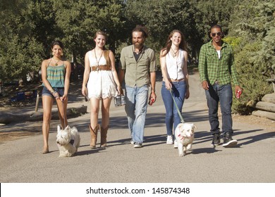 A Group Of Friends Walking Their Dogs Down To The Lake.