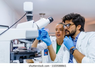 Group Of Genetics Engineering Students Working Together In Lab. Laboratory Teamwork By College Student Indoors. Working In Lab