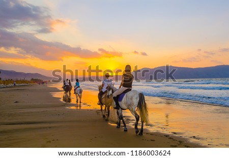A group of girls on horseback riding on a sandy beach on the background of the sunset sky