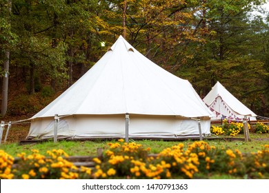 Group Of Glamping Bell Tents At Autumn Foliage Forest In Lake Tazawa, Tazawako,  Semboku, Akita, Japan. A Popular Vacation Area And Hot Spring Resorts