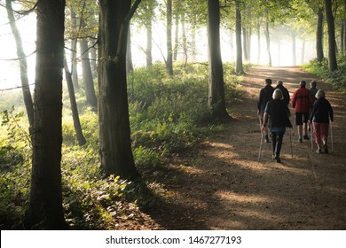 Group Of Golden Agers Walking Through The Forest To Keep Fit