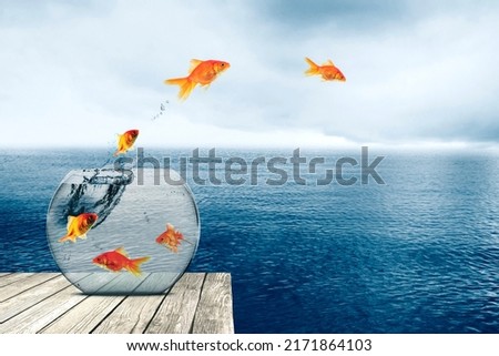 Group of goldfish jumping from aquarium to the lake at misty morning