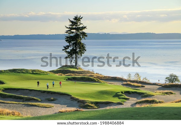 a group of golfers\
on a beautiful course