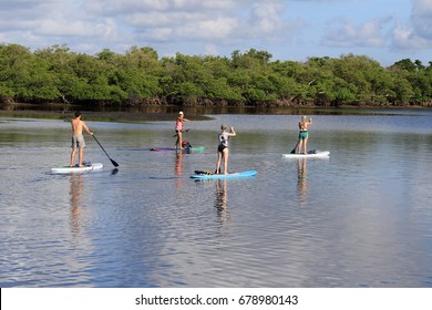 A Group Of Good Friends Taking A Paddle Boarding Lesson And Eco Tour In South Florida.