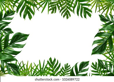 Group Of Green Leaf Frame On White