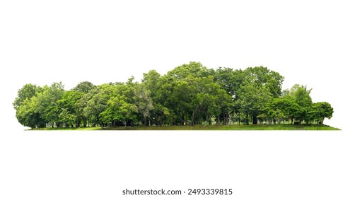 group green tree isolate on white background. Cutout tree line. Row of green trees and shrubs in summer isolated on white background. ForestScene. High quality clipping mask. Forest and green foliage.