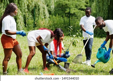 Group Of Happy African Volunteers Planting Tree In Park. Africa Volunteering, Charity, People And Ecology Concept.