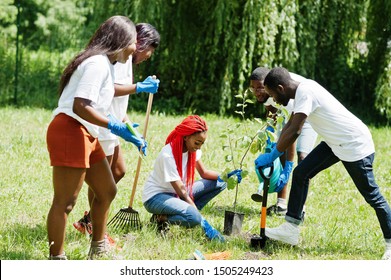 Group Of Happy African Volunteers Planting Tree In Park. Africa Volunteering, Charity, People And Ecology Concept.