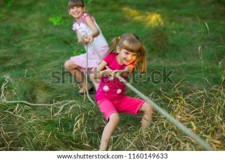 Similar – A boy and a girl in toddlerhood are standing on a log in summer clothes