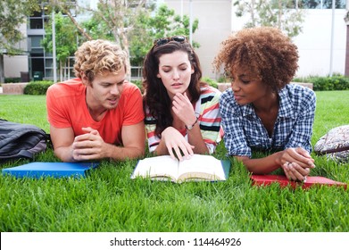 Group Of Happy College Students Lying In The Grass With Notebooks