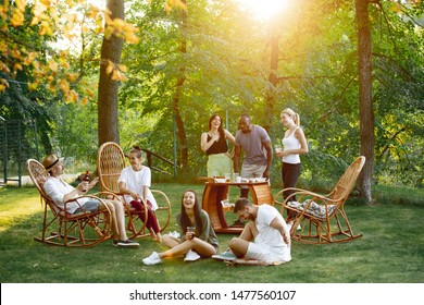 Gruppe glücklicher Freunde, die Biere am Grillabend bei Sonnenuntergang essen und trinken. Gemeinsam im Freien in einer Waldverglasung essen. Feiern und entspannen. Sommerleben, Essen, Freundschaftskonzept