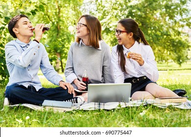 Group Of Happy Students Enjoying Picnic On Green Lawn Of School Yard, Drinking Soda And Using Laptop