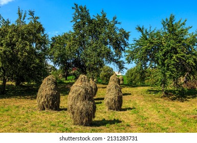 Group Of Haystacks In A Backyard In Bukovina, Romania