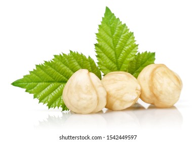 Group Hazelnuts Green Leaves Isolated On Stock Photo