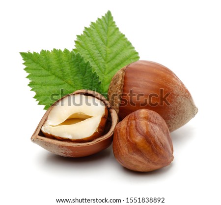 Group of hazelnuts with green leaves isolated on white background