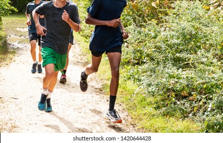 A group of high school boys cross country runners are training together on a dirt path in the woods.