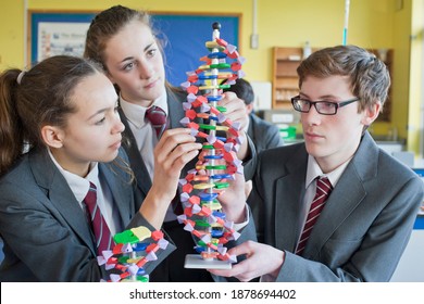 A group of a high school students assembling a helix DNA model in a science class. - Powered by Shutterstock