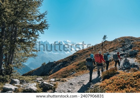 Similar – Image, Stock Photo Hiking in the Alps. Hiking trail entwined in green forests in the background the foothills of the Alps.