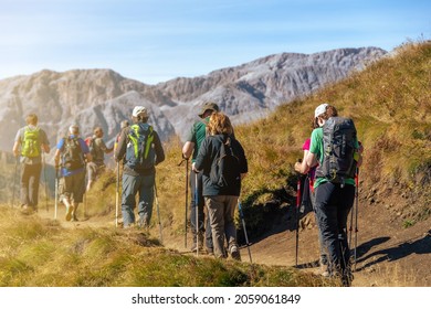 Group of hikers of different ages and gender with trekking poles and backpack hiking on a trail through green meadows in the Italian Alps. Sassopiatto - Col Rodella. South Tyrol, Italy - Shutterstock ID 2059061849