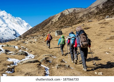 Group Of Hikers In The Mountains 