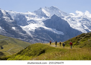 A group of hikers on a grassy trail with snow-capped peaks and rugged mountains in the background. Clear blue sky and wildflowers enhance the scenic outdoor adventure. - Powered by Shutterstock