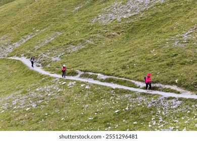 A group of hikers on a grassy trail with snow-capped peaks and rugged mountains in the background. Clear blue sky and wildflowers enhance the scenic outdoor adventure. - Powered by Shutterstock