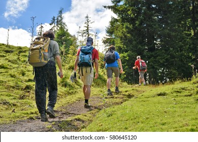 Group Of Hikers Walking Up An Alpine Trail