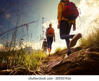 Group Of Hikers Walking In Mountains