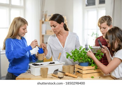 Group Of Homeschooling Children With Teacher Planting Herbs Indoors, Coronavirus Concept.