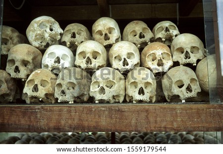 A group of human skulls placed on top of each other from the killing fields of Cambodia