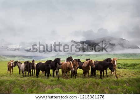 Similar – Image, Stock Photo cowboys Organic produce