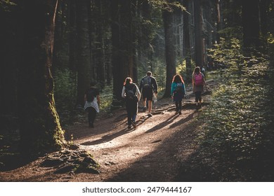 A group of individuals hiking in a forest on Ceahlau Massive Mountain, Romania - Powered by Shutterstock