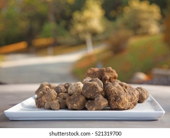Group of Italian white truffles