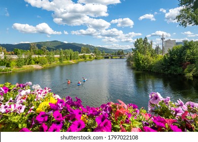 A group of kayakers enjoy a beautiful summer day on Sand Creek River and Lake Pend Oreille in the downtown area of Sandpoint, Idaho, USA
