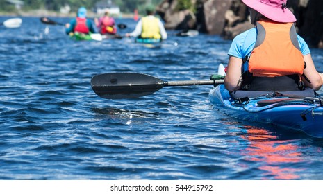 Group Kayaking In A Kayak On A Lake