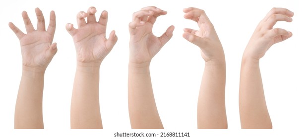 Group of Kid Hand Isolated on White Background : Zombie hand Poses.