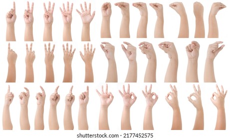 Group of Kid Hand Isolated on White Background : Hand Counts from one to five, Grab hand, Snake pose, pointing, OK pose. - Powered by Shutterstock