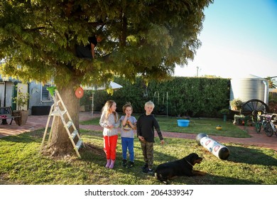 Group Of Kids Taking Turns To Climb Tree In Backyard