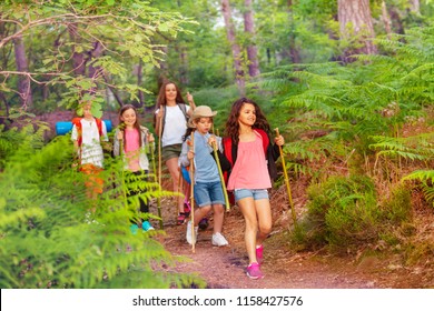 Group Of Kids Walking And Hiking In The Forest