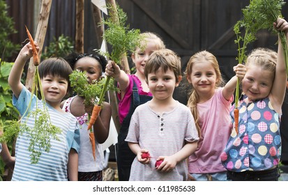 Group Kindergarten Kids Learning Gardening Outdoors Stock Photo ...