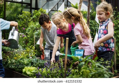Group Of Kindergarten Kids Learning Gardening Outdoors