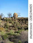 A group of leafless trees during winter next to big rocks or boulders and cloudless blue sky background