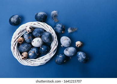 group of light blue robin eggs in their nest on a white background. Classic blue color of year 2020
