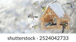 Group of little birds feeding on a bird feeder with sunflower seeds on winter background. Great tit, blue tit, chickadee. Winter time