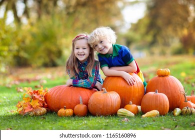 Group Of Little Children Enjoying Harvest Festival Celebration At Pumpkin Patch. Kids Picking And Carving Pumpkins At Country Farm On Warm Autumn Day. Halloween And Thanksgiving Time Fun For Family.