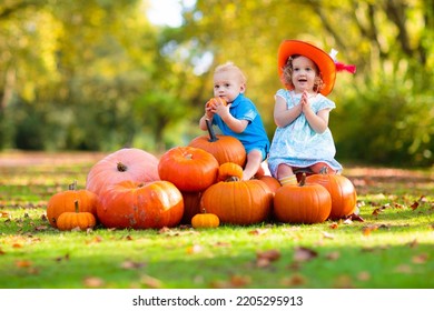 Group Of Little Children Enjoying Harvest Festival Celebration At Pumpkin Patch. Kids Picking And Carving Pumpkins At Country Farm On Warm Autumn Day. Halloween And Thanksgiving Time Fun For Family.