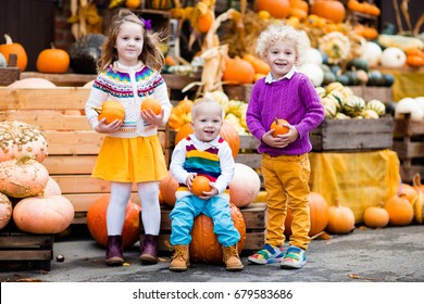 Group Of Little Children Enjoying Harvest Festival Celebration At Pumpkin Patch. Kids Picking And Carving Pumpkins At Country Farm On Warm Autumn Day. Halloween And Thanksgiving Time Fun For Family