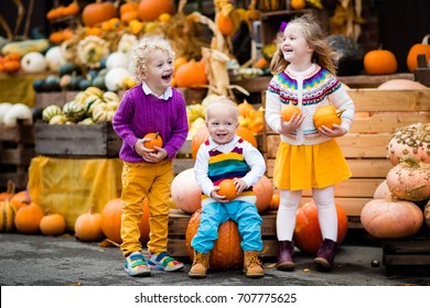 Group Of Little Children Enjoying Harvest Festival Celebration At Pumpkin Patch. Kids Picking And Carving Pumpkins At Country Farm On Warm Autumn Day. Halloween And Thanksgiving Time Fun For Family.