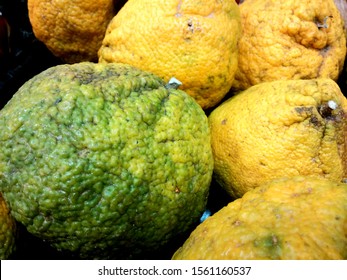 A Group Of Loose, Bulk Tropical Jamaican Tangelo, Ugly Fruit 