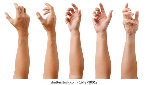GROUP of Male Asian hand gestures isolated over the white background. Soft Grab Action. Touch Action.
